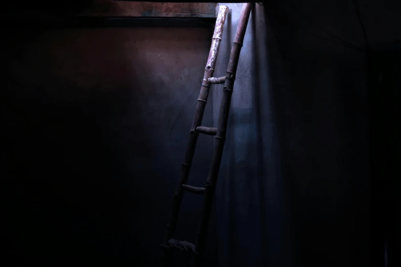 a ladder leaning against a wall in a dark room, inspired by Katia Chausheva, unsplash, conceptual art, photorealistic octane render 8 k, background image, magic wooden staff, instagram post
