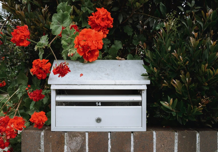 a white mail box sitting on top of a brick wall, by Carey Morris, pexels contest winner, red flowers, manuka, orange and white, grey