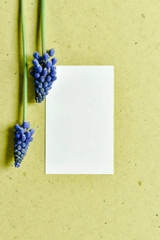 a piece of paper sitting on top of a table next to a bunch of flowers, inspired by Yves Klein, unsplash, grape hyacinth, promo image, brown paper, card template