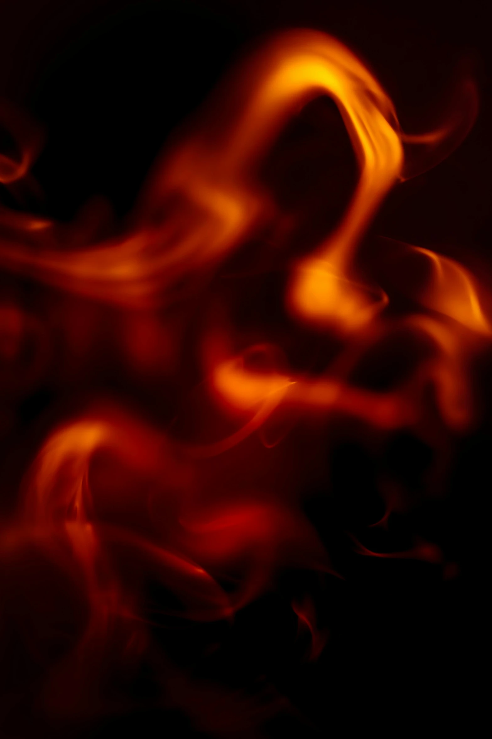 a close up of a fire on a black background, by Jan Rustem, soft red texture, red swirls, in ecstasy, digital image