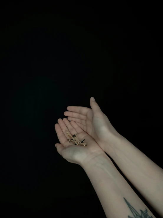 a person with a bird tattoo on their arm, an album cover, inspired by Elsa Bleda, unsplash, aestheticism, sophisticated hands // noir, black and gold, ignant, 5 fingers