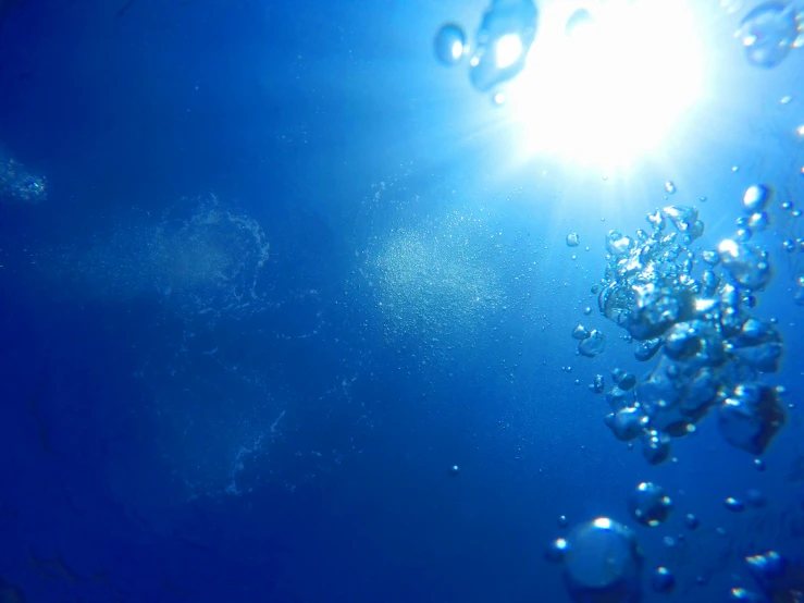 a group of bubbles floating on top of a blue ocean, sunlight beaming down, underwater face, effervescent