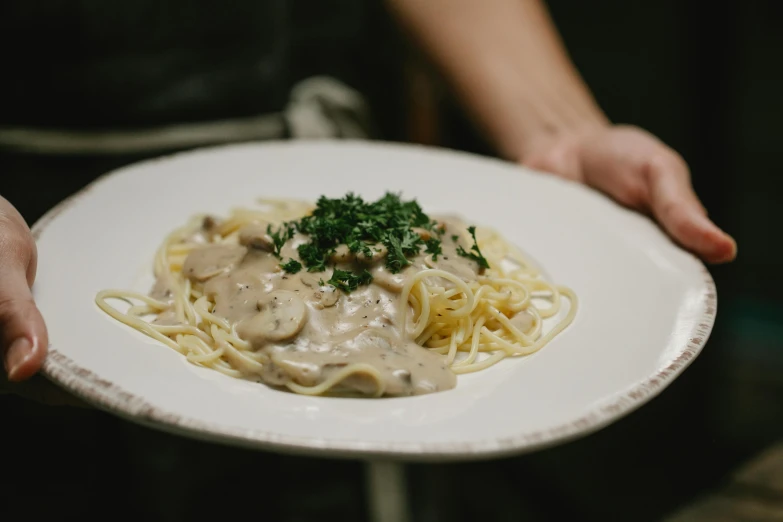 a close up of a person holding a plate of food, pasta, taupe, diner, grayish