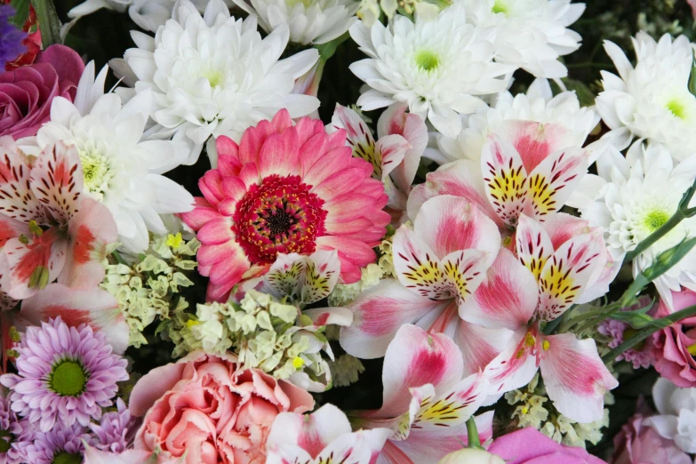 a close up of a bunch of flowers, white and pink, more and more flowers, front and center, zoomed in