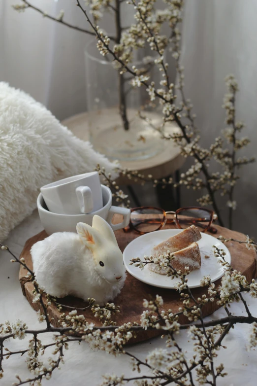 a white rabbit sitting on top of a wooden tray, a picture, by Lucia Peka, trending on reddit, sakura season, dessert, set photo, white room