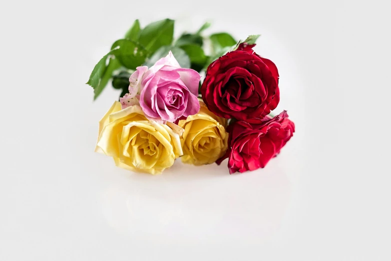 a bunch of roses sitting on top of a white surface, full product shot, multicoloured, product view, unbeatable quality