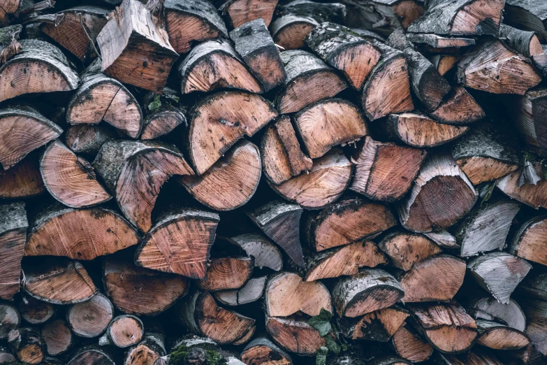 a pile of wood stacked on top of each other, by Kristian Zahrtmann, pexels contest winner, background image, “ iron bark, cover shot, thumbnail