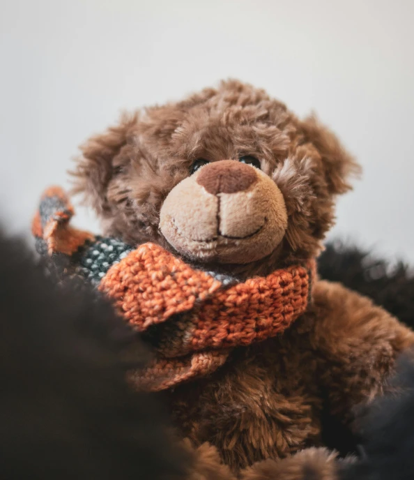 a close up of a teddy bear wearing a scarf, by Emma Andijewska, pexels, hurufiyya, orange and black, chocolate, petite, synthetic fur