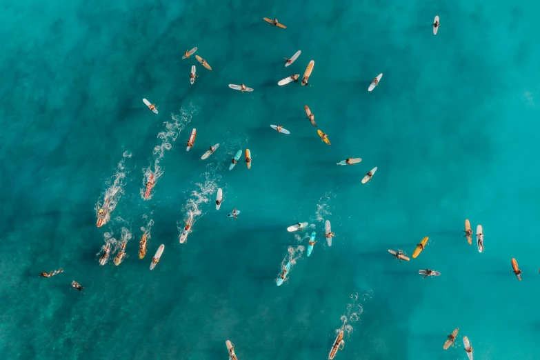 a group of people riding surfboards on top of a body of water, unsplash contest winner, figuration libre, birdseye view, carnival, hawaii, thumbnail