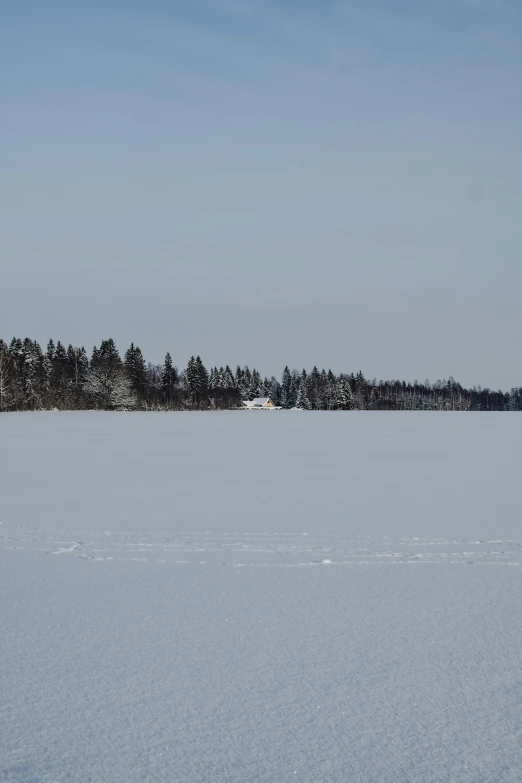 a man riding skis across a snow covered field, inspired by Eero Järnefelt, flickr, land art, view from the lake, sparse pine trees, lake house, wide shot!!!!!!