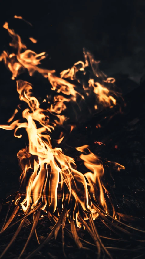 a close up of a fire in the dark, an album cover, pexels, multiple stories, outdoor photo, braziers, burning wings