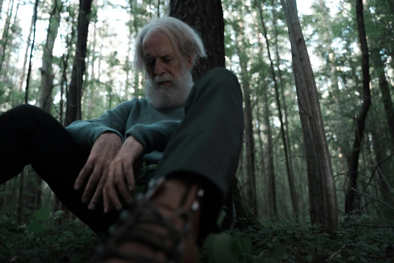 a man sitting on the ground in the woods, long white hair and beard, ron cobb. cinestill, nathan fowkes, ( ( theatrical ) )
