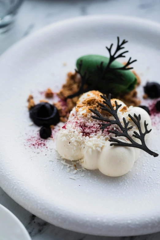 a close up of a plate of food on a table, inspired by Barthélemy Menn, white desert, manuka, oaks, sculpted