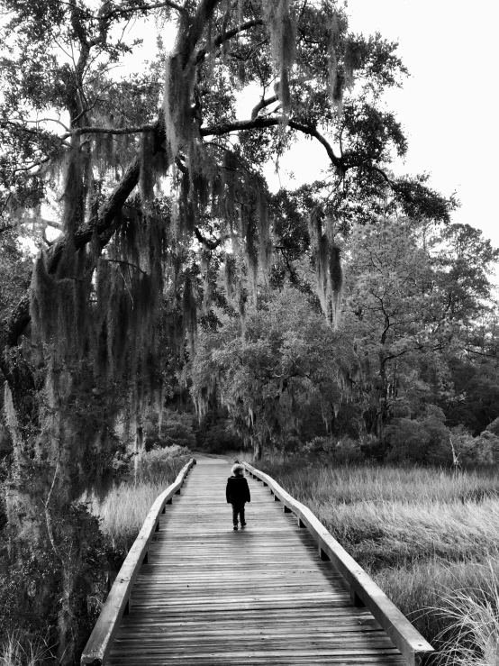 a black and white photo of a person walking on a boardwalk, spanish moss, david a, a cozy, j. h. williams iii