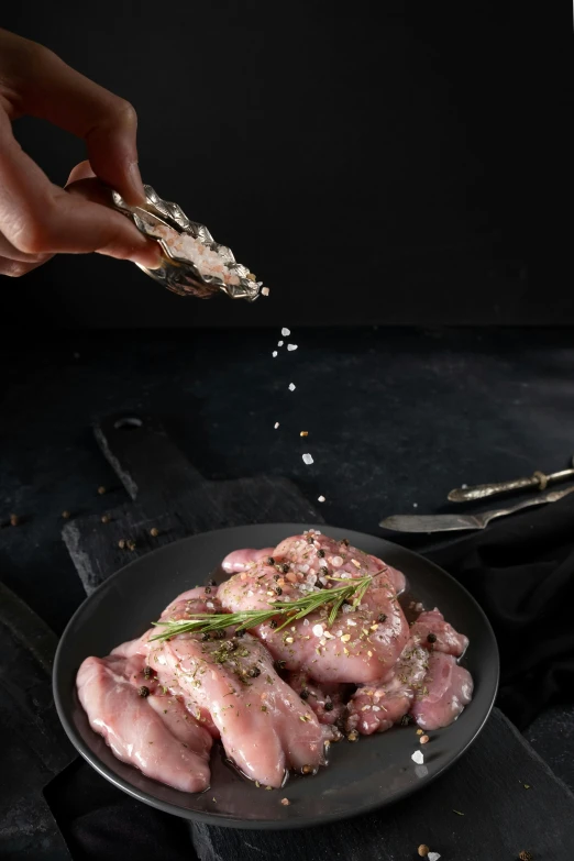 a person sprinkling salt onto a plate of chicken, on a dark background, grey, 8l, lifestyle