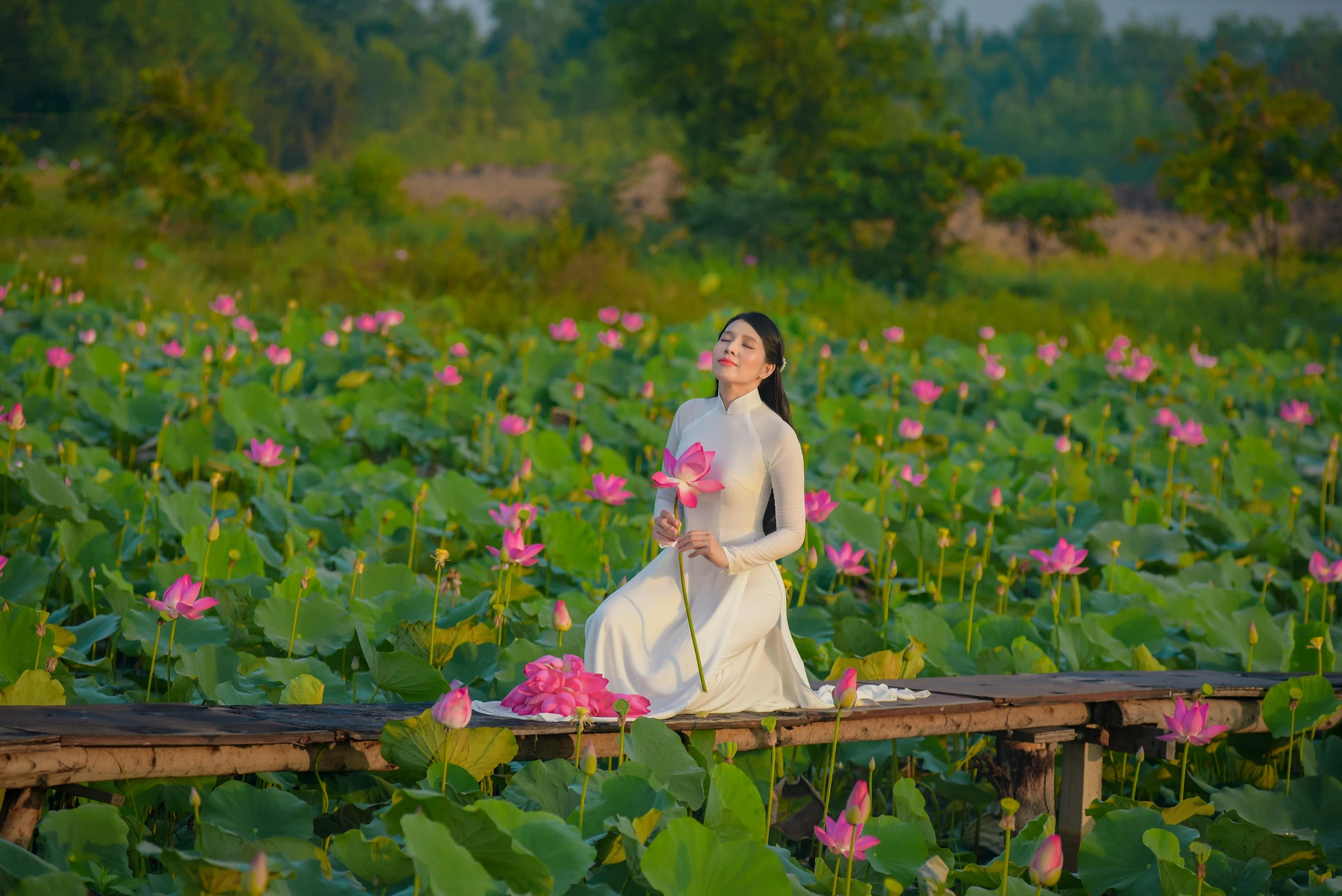 a woman sitting on a dock in a field of flowers, inspired by Li Di, pexels contest winner, ao dai, standing gracefully upon a lotus, movie still 8 k, festivals