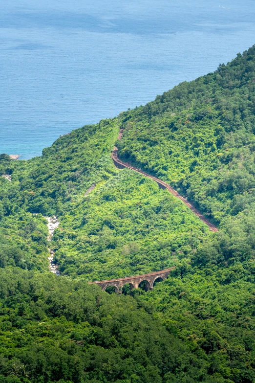 a train traveling through a lush green hillside next to the ocean, shan shui, aqueduct and arches, rum, slide show