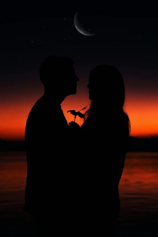 a couple standing next to each other in front of a sunset, by David Donaldson, pexels contest winner, romanticism, outlined silhouettes, (night), swashbuckling and romantic, profile shot