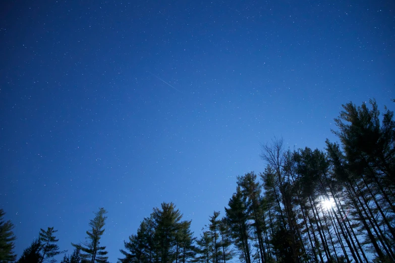 a forest filled with lots of trees under a blue sky, by Jessie Algie, unsplash, light and space, moon and stars in night sky, new hampshire, slide show, early evening