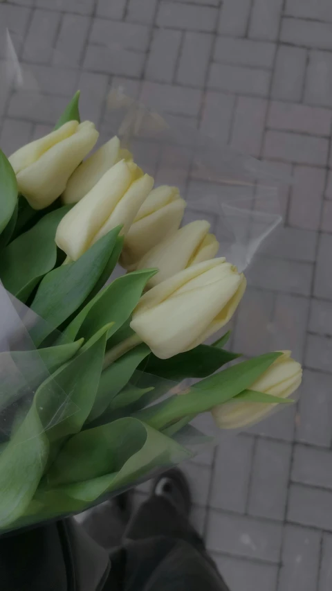 a person holding a bunch of yellow tulips, taken from the high street, sleek white, zoomed in, made of glazed