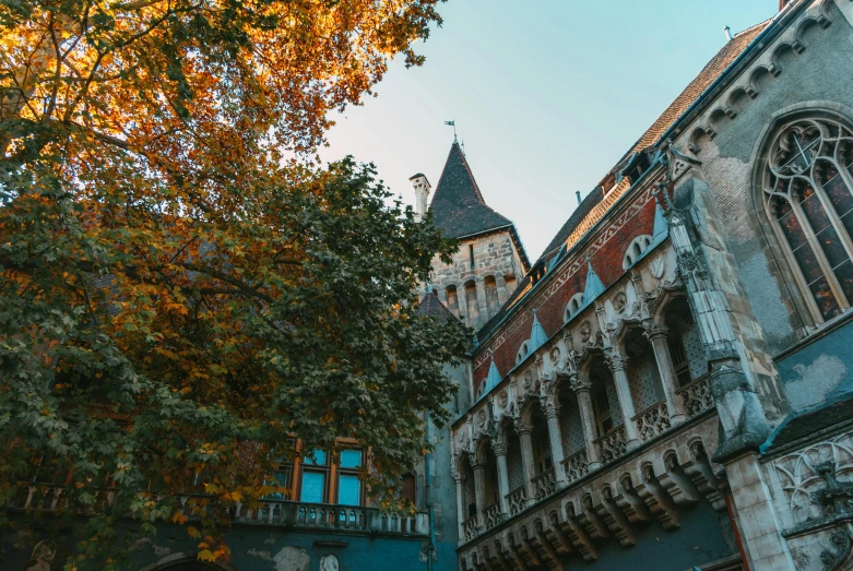 a tall building with a clock tower next to a tree, pexels contest winner, danube school, foliage, court politics, thumbnail, pointed arches