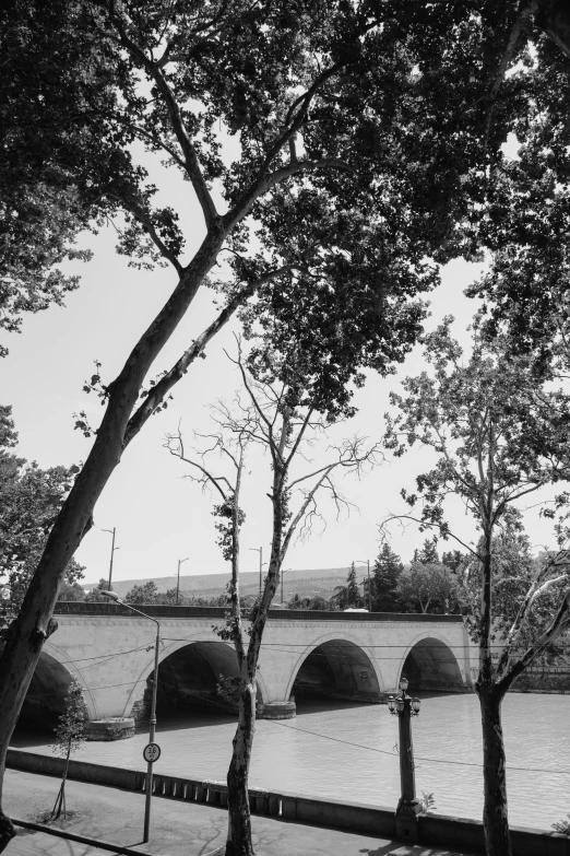 a black and white photo of a bridge over a river, tree town, archs, ( ( photograph ) ), summer afternoon