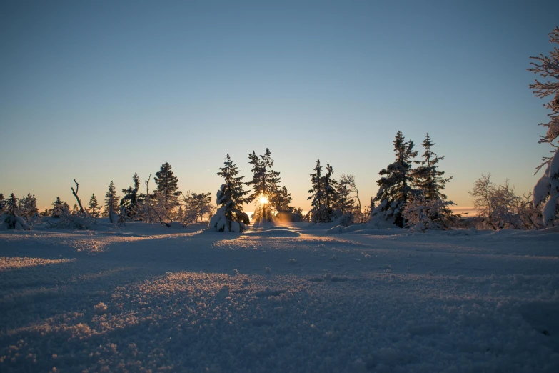 the sun is shining through the trees in the snow, by Veikko Törmänen, pexels contest winner, last light on mountain top, tourist photo, 🌲🌌