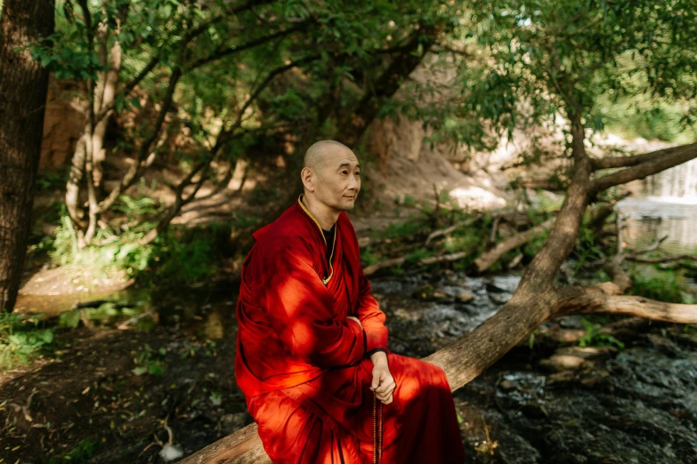 a man in a red robe sitting on a log, a portrait, unsplash, maggie cheung, ukrainian monk, next to a tree, official photo