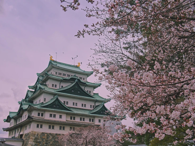 a large white and green building surrounded by trees, a photo, inspired by Kawase Hasui, unsplash contest winner, sakura flowers, gigantic castle, touhou, 90s photo