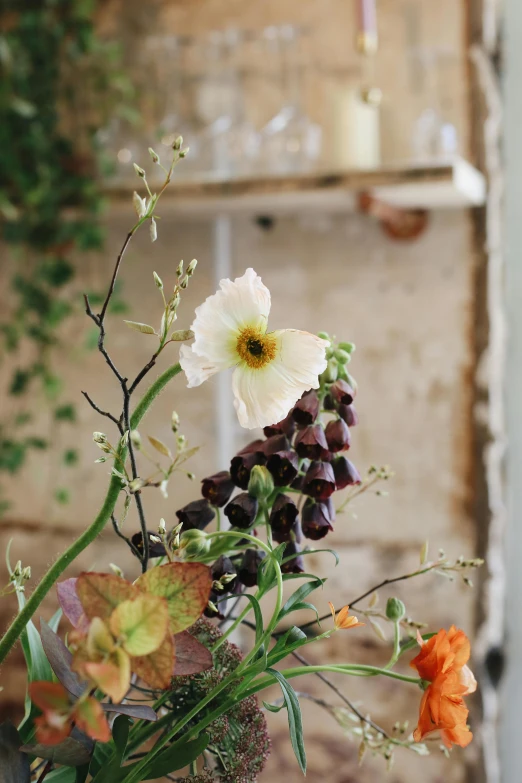 a vase filled with flowers sitting on top of a table, by Sylvia Wishart, unsplash, ivy vine leaf and flower top, anemone, rustic setting, seeds