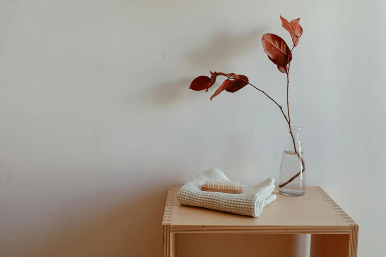 a vase sitting on top of a wooden table, trending on unsplash, minimalism, leaves and simple cloth, towels, background image, jar on a shelf