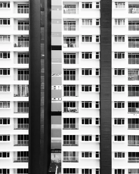 a black and white photo of a tall building, a black and white photo, inspired by Andreas Gursky, unsplash contest winner, singapore ( 2 0 1 8 ), house windows, ffffound, suburbia