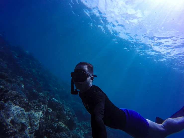 a person swimming in the ocean with a camera, avatar image, coral sea bottom, profile image, conor walton