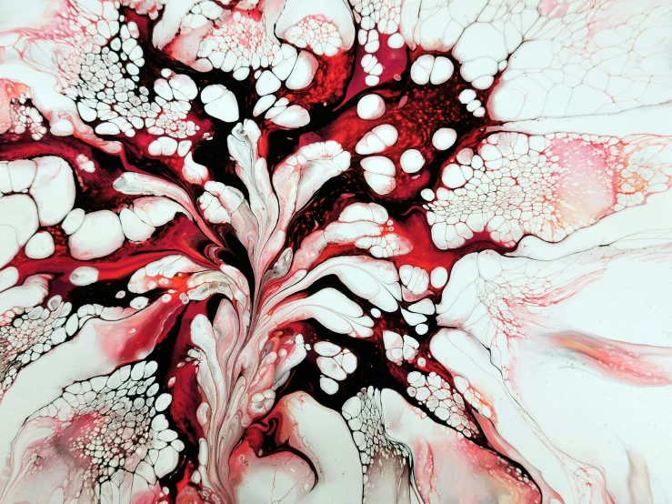 a close up of a painting of a flower, a detailed painting, inspired by Shōzō Shimamoto, flickr, red and white and black colors, liquid marble fluid painting, organic ceramic fractal forms, 144x144 canvas