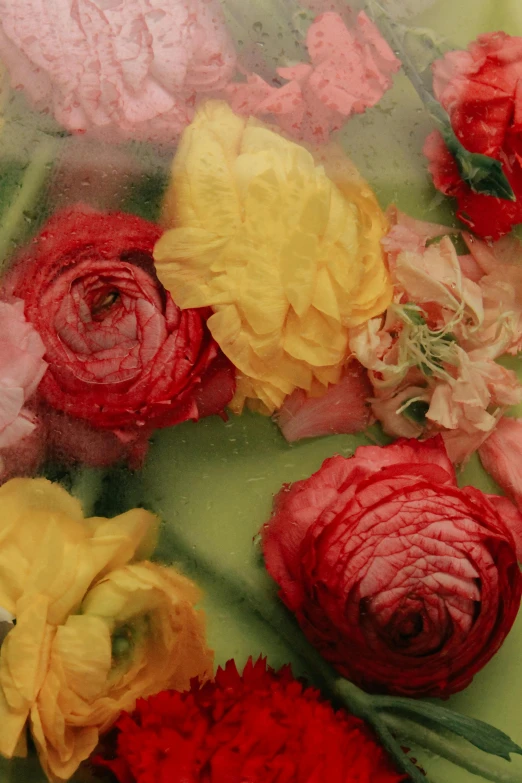 a bath tub filled with lots of colorful flowers, an album cover, inspired by Henri Fantin-Latour, romanticism, resin, buttercups, close - up photograph, translucent roses ornate