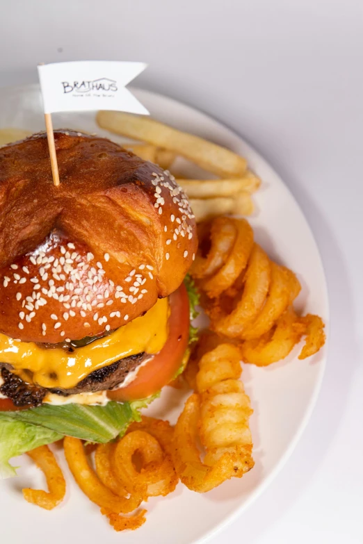 a white plate topped with a cheeseburger and french fries, award-winning crisp details”, sigma 55”