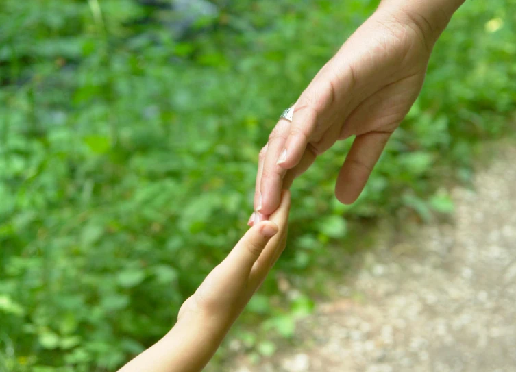 a close up of a person holding a child's hand, lush surroundings, traverse, across holding a hand, specularity