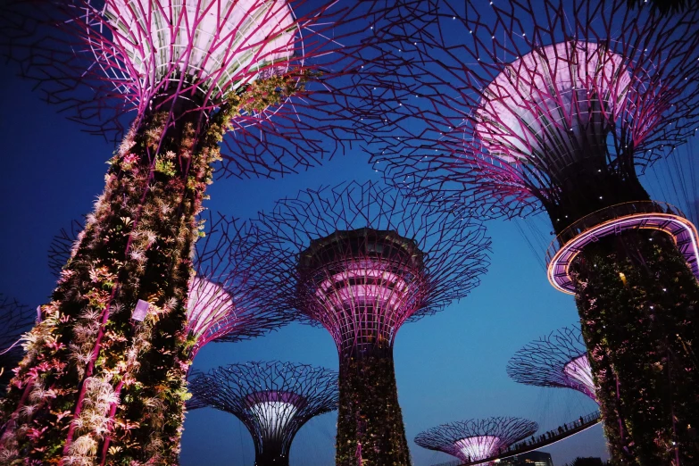a group of trees that are lit up at night, inspired by Bruce Munro, pexels contest winner, surrealism, singapore city, 🦩🪐🐞👩🏻🦳, avatar image, mushroom structures