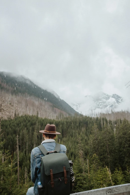 a man sitting on top of a wooden bridge, a picture, by Emma Andijewska, trending on unsplash, icy mountains, wearing a travel hat, old growth forest, during a storm