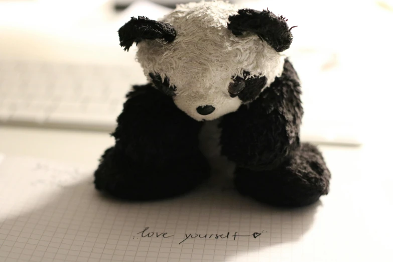 a stuffed panda bear sitting on top of a piece of paper, by Sylvia Wishart, unsplash, love craft, instagram picture, soft, exist