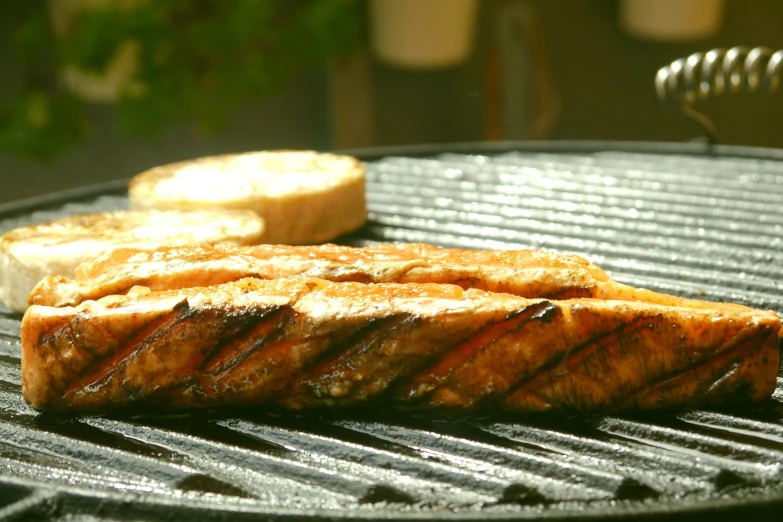 a piece of fish sitting on top of a grill, by Carey Morris, pexels, teeth between bread and patty, made of glazed, salmon khoshroo, 15081959 21121991 01012000 4k