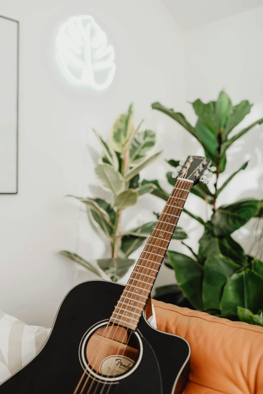 a guitar sitting on top of a couch next to a plant, trending on pexels, light and space, in my bedroom, digital oth, front lit, plain background