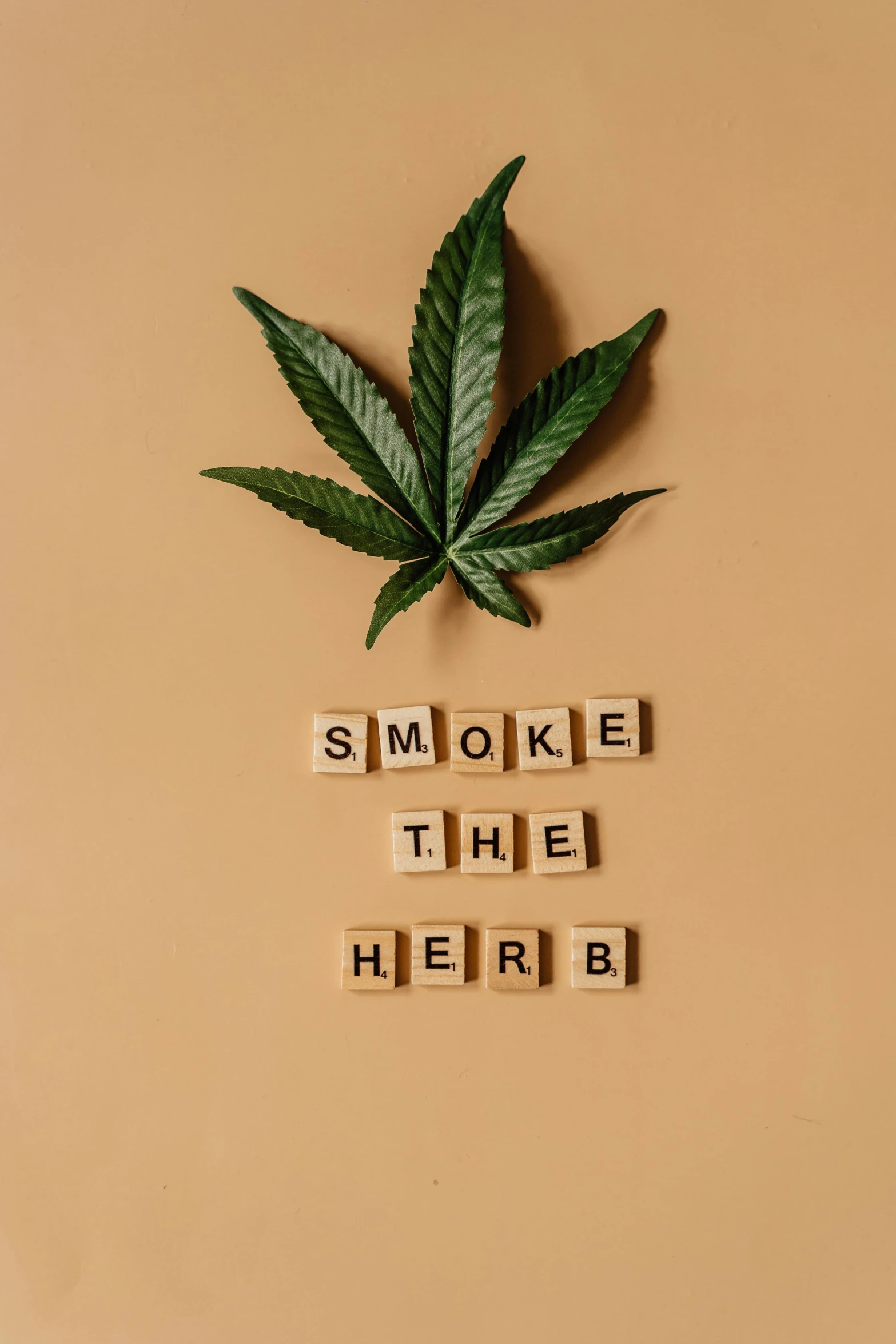 a marijuana leaf with the words smoke time herb written on it, inspired by Herb Aach, trending on pexels, renaissance, made of dried flowers, thumbnail, can, hip modern vibe
