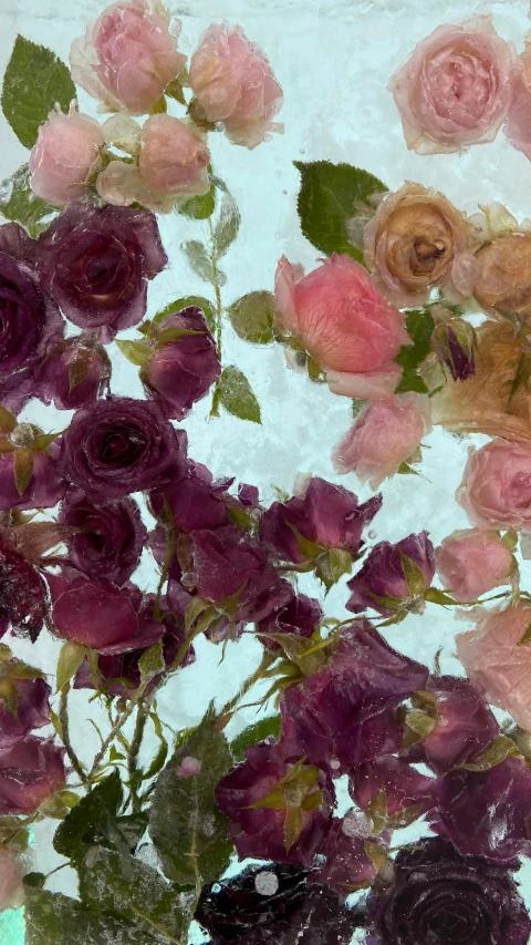 a painting of a bunch of flowers in a vase, an album cover, inspired by Annie Rose Laing, trending on unsplash, resin, rose tones, half submerged, freezing