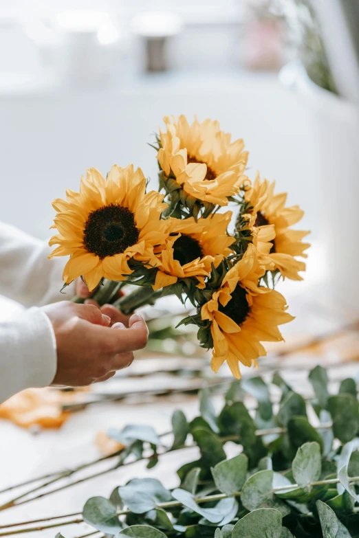 a person holding a bunch of sunflowers on a table, a still life, inspired by Sun Long, trending on unsplash, flowers and vines, shades of gold display naturally, with a white background, opening shot