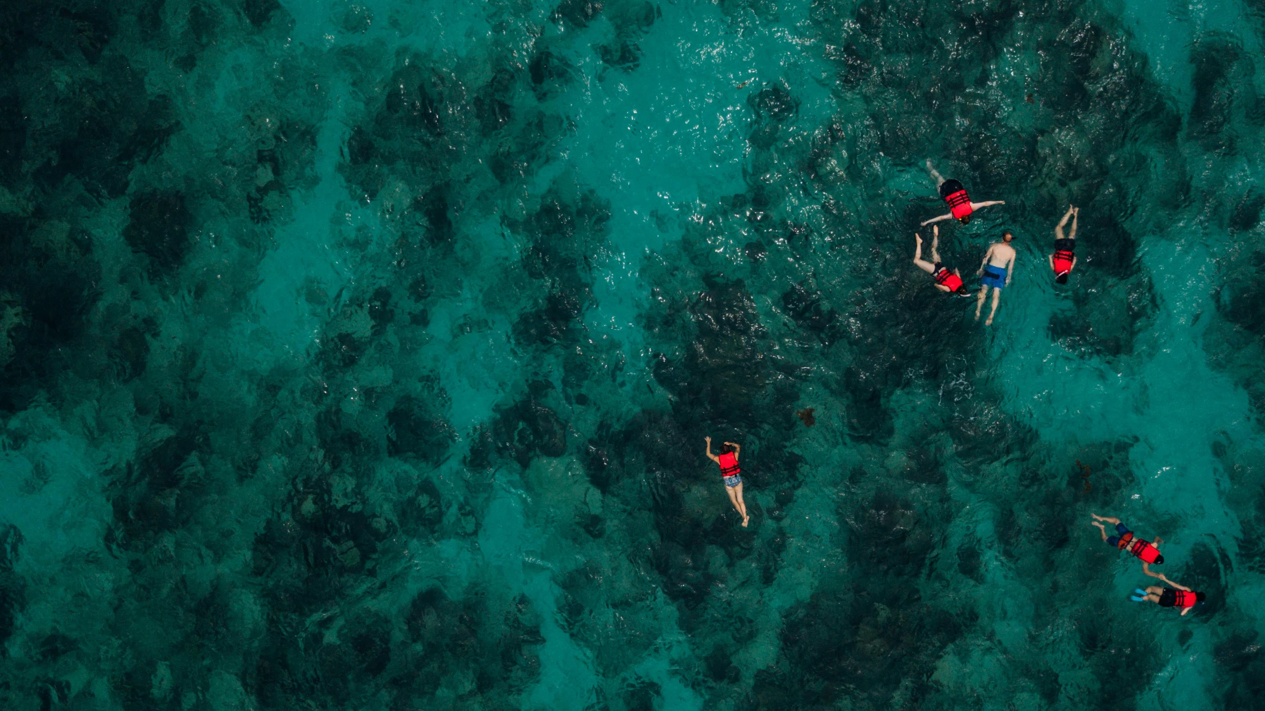 a group of people swimming in the ocean, by Adam Marczyński, pexels contest winner, teal silver red, flatlay, deep lush vivid colors, thumbnail