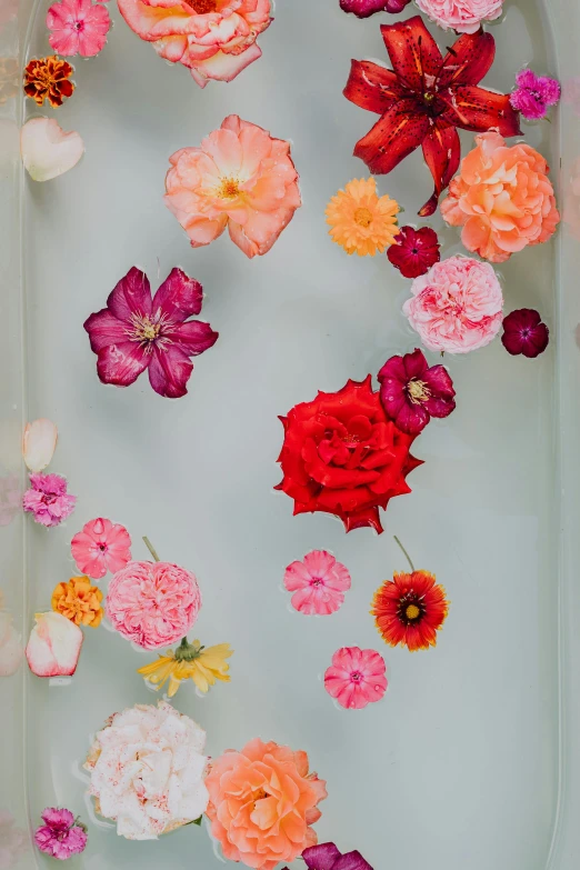 a bath tub filled with lots of colorful flowers, by Jessie Algie, romanticism, floating crystals, hanging, soft grey and red natural light, made of silk paper