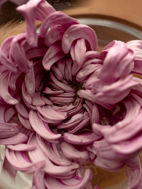 a close up of a bowl of onions on a table, a macro photograph, by Carey Morris, hyperrealism, giant purple dahlia flower head, chrysanthemum eos-1d, detailed impasto, spiraling