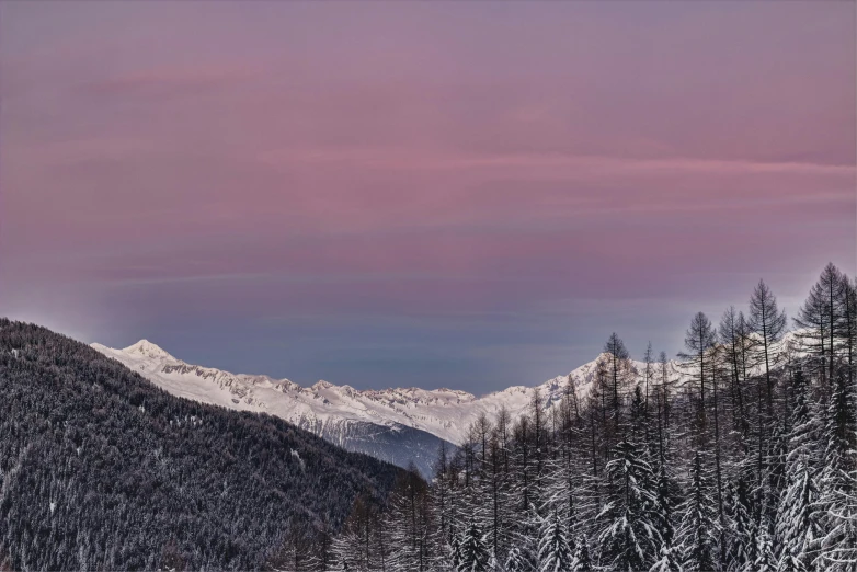 a couple of people riding skis down a snow covered slope, by Peter Churcher, pexels contest winner, les nabis, tall purple and pink trees, sunset panorama, fine art print, grey