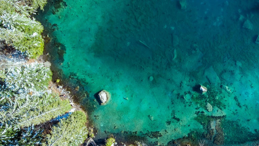 an aerial view of a body of water, a screenshot, pexels contest winner, picton blue, see fishes swimming, lush, kahikatea